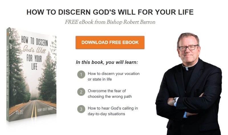 Discerning religious life book - new resource by Bishop Robert Barron
